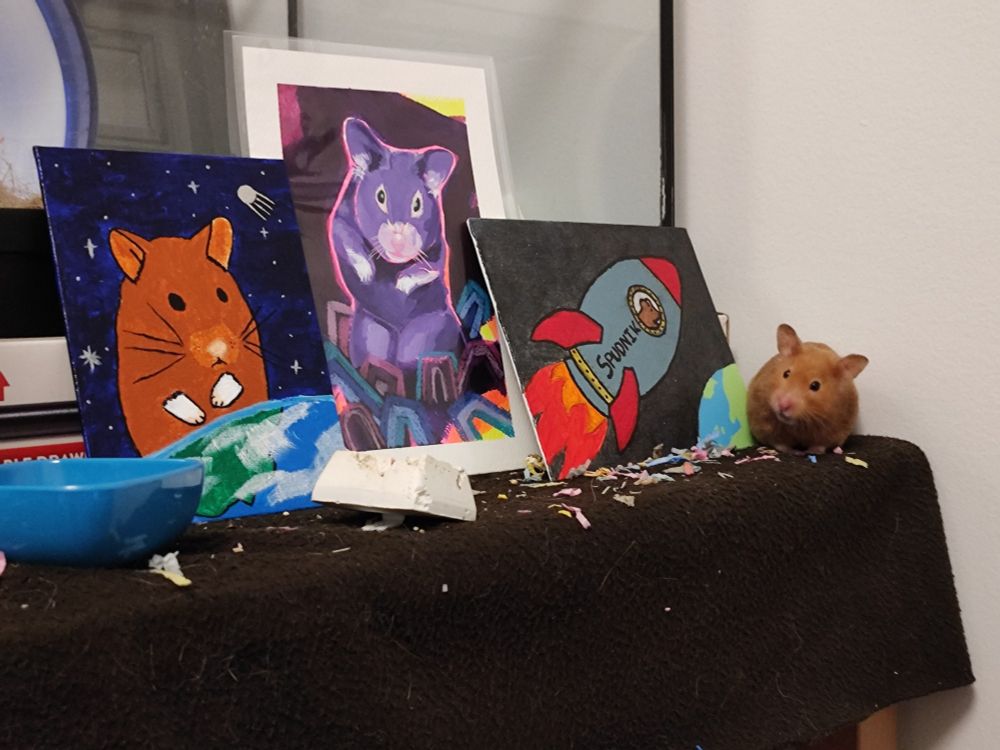 A hamster named Potato is sitting to the right of 3 paintings of herself. From left to right they are:
Her, giant, overlooking the earth, titled "World Domination"
A neon coloured rendition of her among her bedding, mostly in purples
Her in a rocket ship flying away from the earth, the rocket is named 'Spudnik'