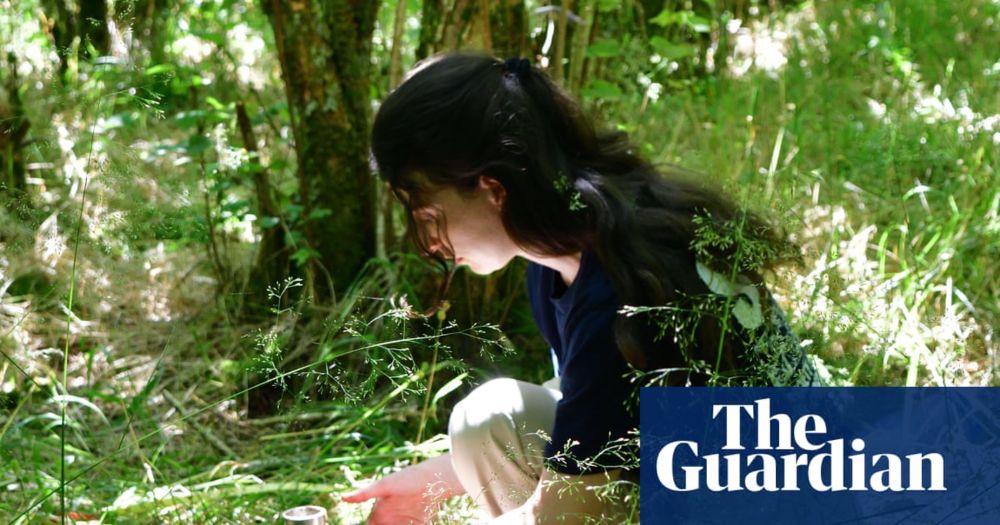 Healthy fungal networks help trees and plants grow, making them key to successful reforestation. The only problem? Almost nothing is known about this subterranean ecology