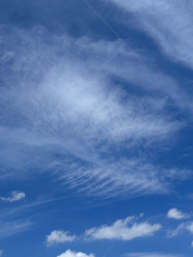 Blue sky with clouds, some fluffy and some looking almost like ribs!  
