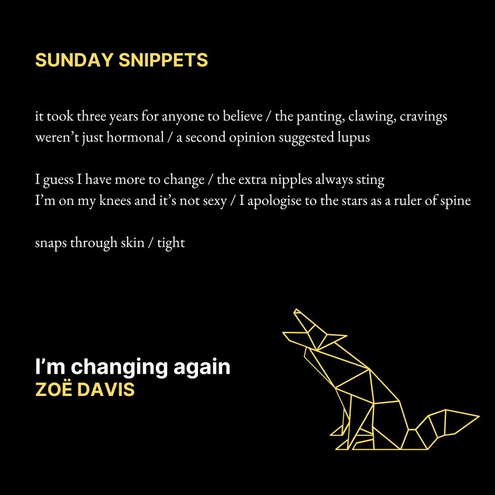 SUNDAY SNIPPETS

it took three years for anyone to believe / the panting, clawing, cravings
weren’t just hormonal / a second opinion suggested lupus

I guess I have more to change / the extra nipples always sting
I’m on my knees and it’s not sexy / I apologise to the stars as a ruler of spine 

snaps through skin / tight

I’m changing again
Zoë Davis

Text is on a black background. In the bottom right corner is a yellow geometric outline of a wolf howling.