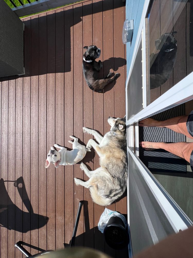 Sun bathinnnn ☀️ 