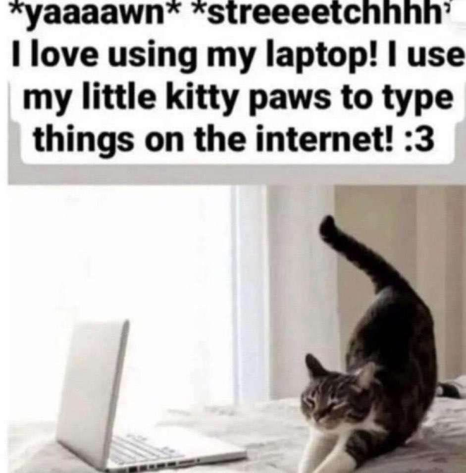 i love using my little kitty paws to type things on the internet :3