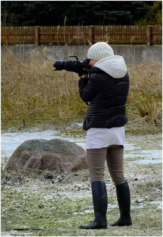 Comment image