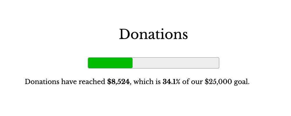 Screenshot of the NarraScope website titled "Donations" with a green progress bar at 34%. Below the progress bar reads: "Donations have reached $8,524, which is 34.1% of our $25,000 goal."