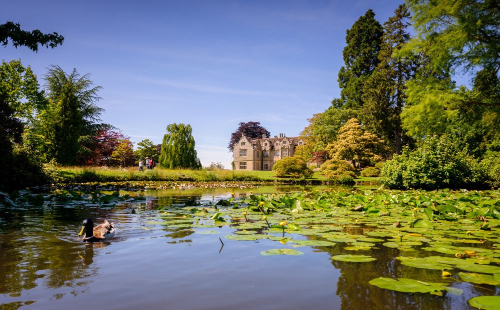 Wakehurst Place, Kew Gardens. View of a pond from a low angle with a duck and lilypads across the water with the main house building at the other side of the water.