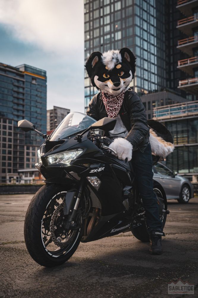 Me (a 2 legged dog) on a motorcycle (a 2 wheeled vehicle).