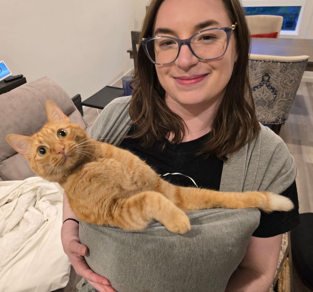 A woman carries an orange tabby cat wrapped in a swaddle blanket