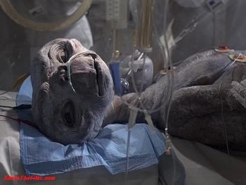 ET the extraterrestrial when he's dying in his weird tube with tubes coming out of him 