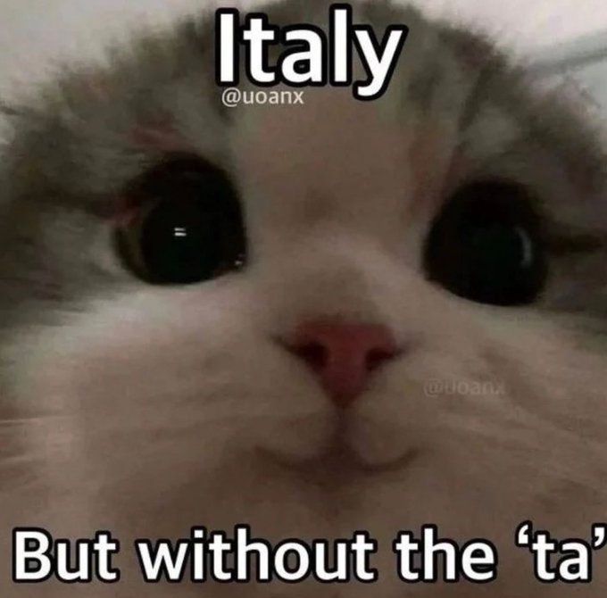 Comment image