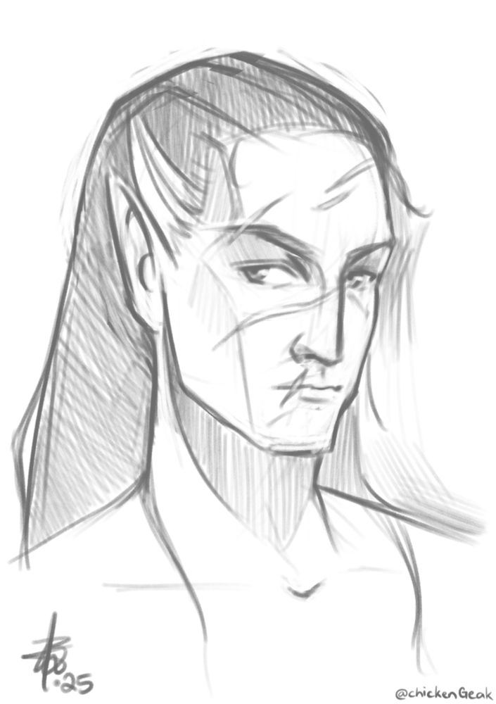 A digital sketch of an eleven man with long hair slicked back, with a white streak through his hair, he has a long nose, thin lips and pointed ears. He has scars covering most of his face and has a stern expression. D&D portrait commission!! This one was a lot of fun because I had no visual reference but a FANTASTIC descriptor for him, really really detailed and it really helped me formulate a sketch.