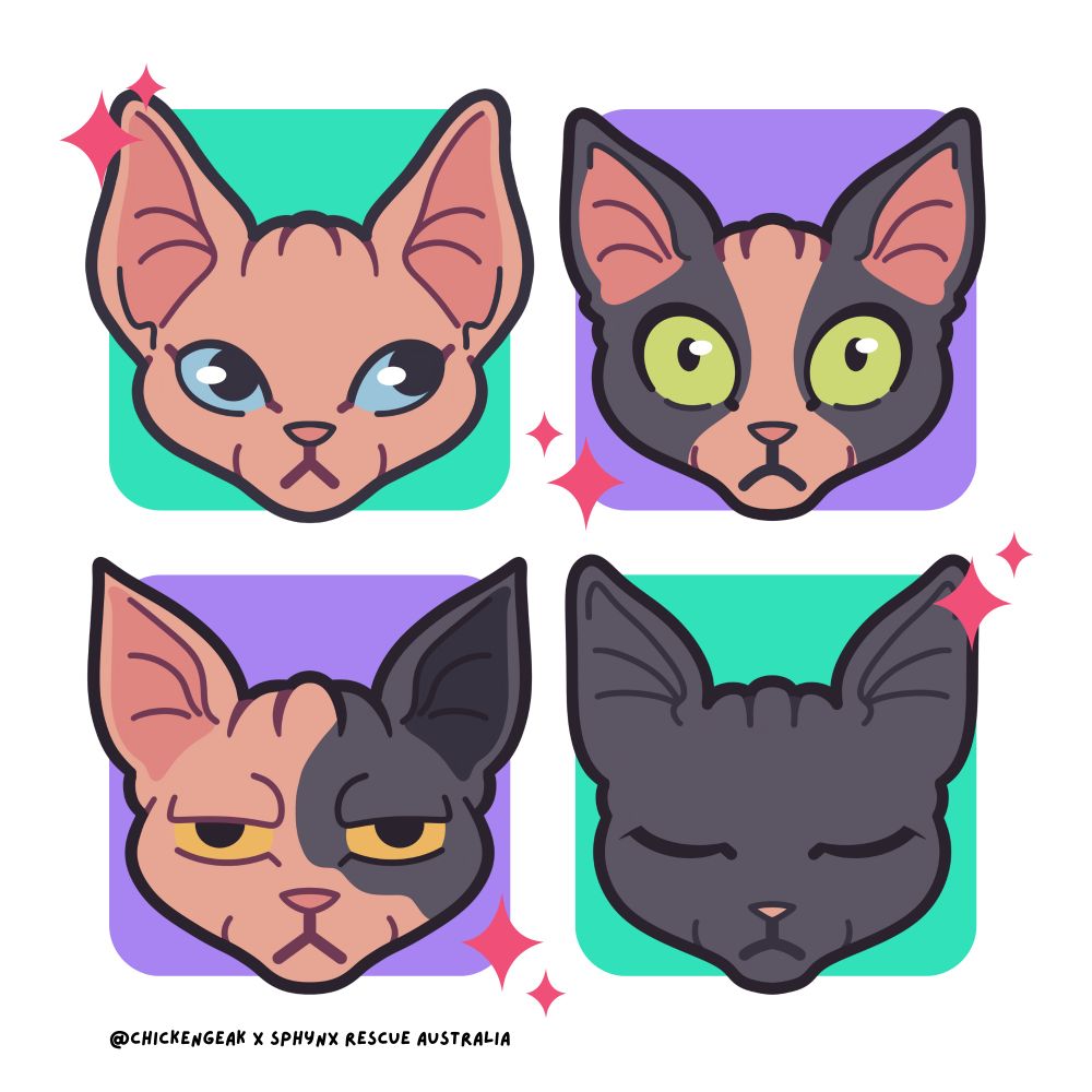 4 cartoon headshots of Sphynx cats. The first is all pink and looking to the right. The second is pink and blue colouring, with two big grey patches over its eyes, which are wide and scared looking. The third has an annoyed expression, is pink and blue with a big grey patch over its left eye. The last one is fully blue, and has its eyes closed falling asleep.