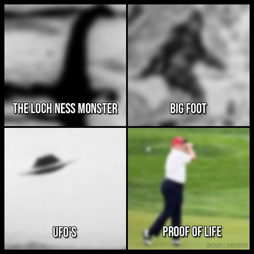 Four images Blurry image of the loch ness monster. White text: 