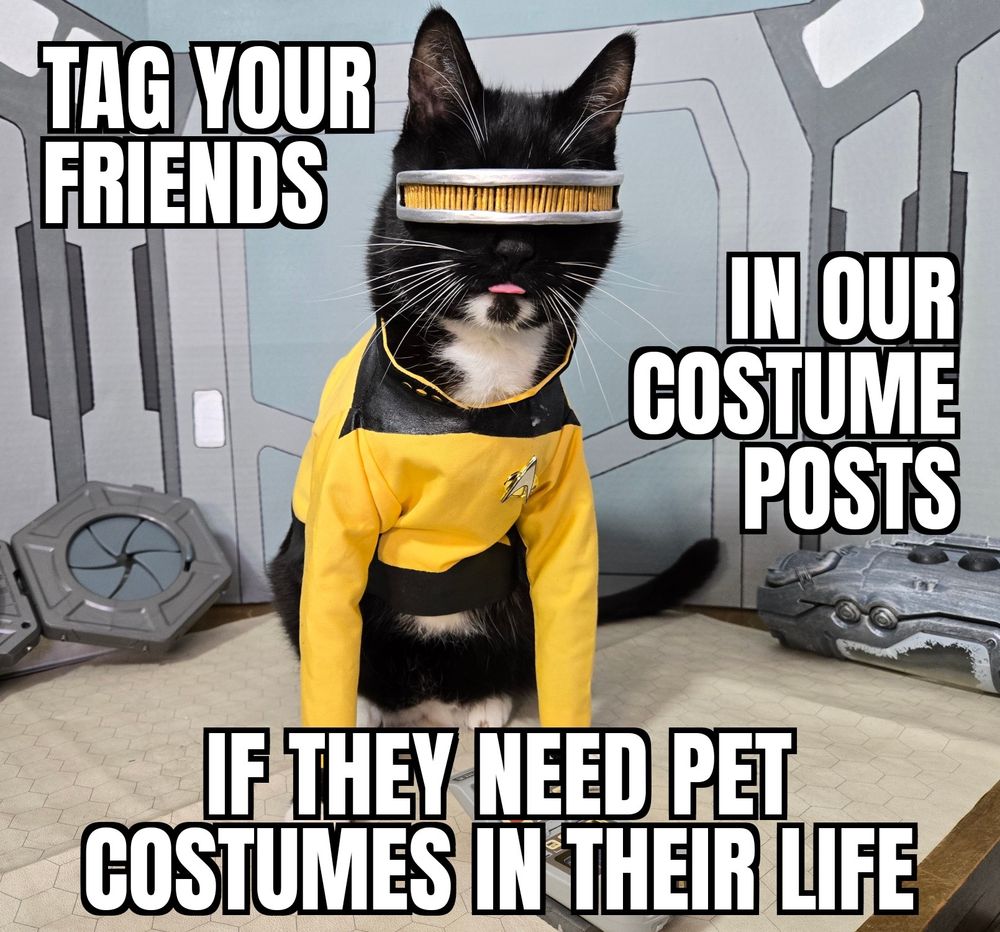 A cat dressed as Geordi la Forge in a starfleet uniform with meme text asking people to tag friends that need to see pets in costumes this Halloween 
