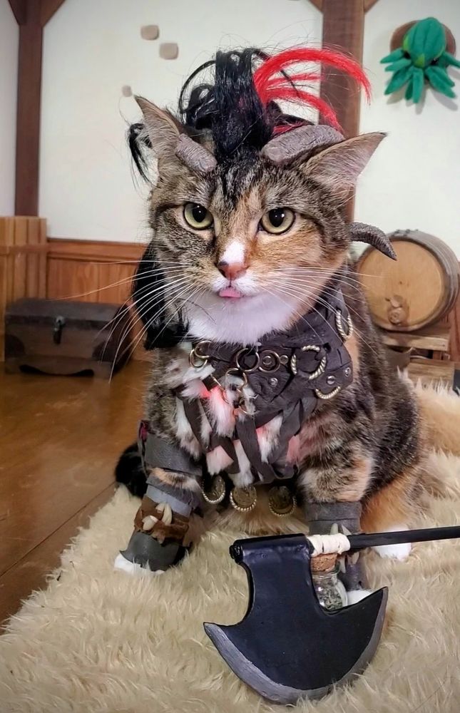 A cat in a leather strap Karlach outfit from Baldur's gate 3. Their chest glows red as they blep their tounge