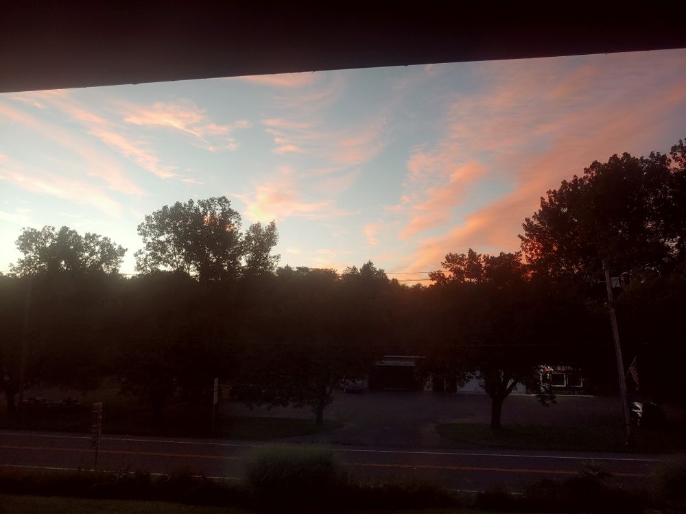A view of a blue sky with pink and orange clouds, with trees still in shadow, hiding a very unfortunate auto repair shop.