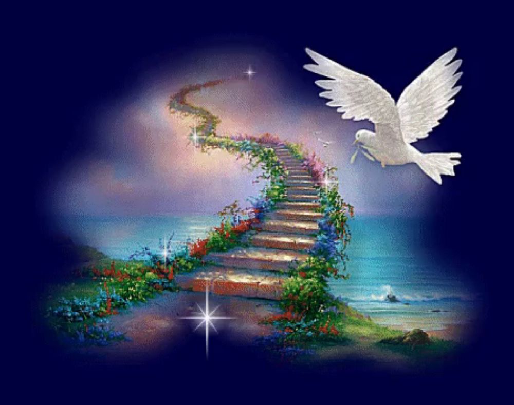 Stairway To Heaven Dove GIF