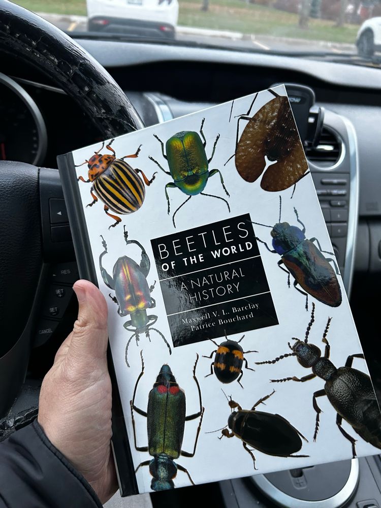 My hand, holding a copy of a hardcover book (Beetles of the World: A Natural History by Maxwell Barclay and Patrice Bouchard). You can see my car dashboard in background because I am sitting in the front seat. The book is white and includes photos of gorgeous insects 