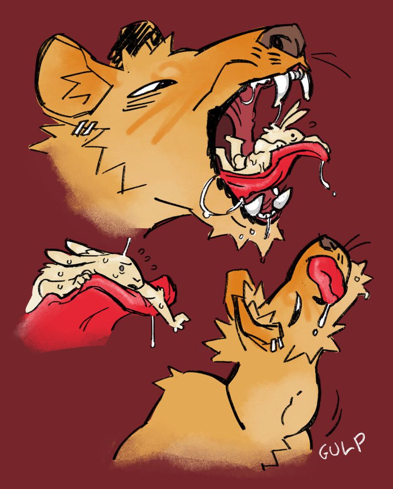 Three drawings of the same lion and rabbit in various vore-related situations. The first is the lion with its mouth wide open and drooling while the rabbit rests on it's tongue. The second is a closeup of the same situation on the rabbit's scared expression. The third is the lion with a large bulge in it's throat, licking its lips with "gulp" written next to it. 