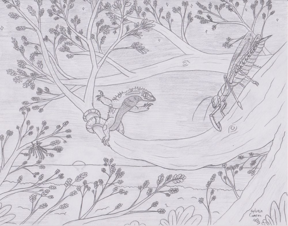 A pencil drawing of the Madygen Formation. A gymnosperm branch frames an encounter between a Kyrgyzsaurus and a Gigatitan. The Kyrgyzsaurus is holding a threatening stance while its tail wraps around the branch. The gigatitan approaches slowly and cautiously. There is a sunset and a hidden Longisquama in the background.