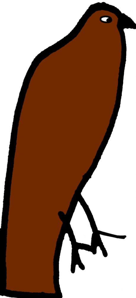 bird drawing practice