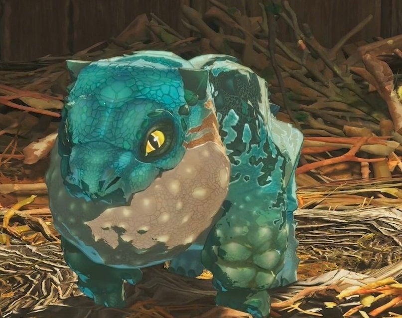 An image of a young frog-like monster known as a chatacabra, from the monster hunter series. It is very ugly, I love him.