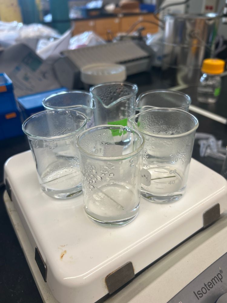 Image of 6 small beakers resting on top of a hot plate with condensation on their sides from slowly being boiled down for some time.