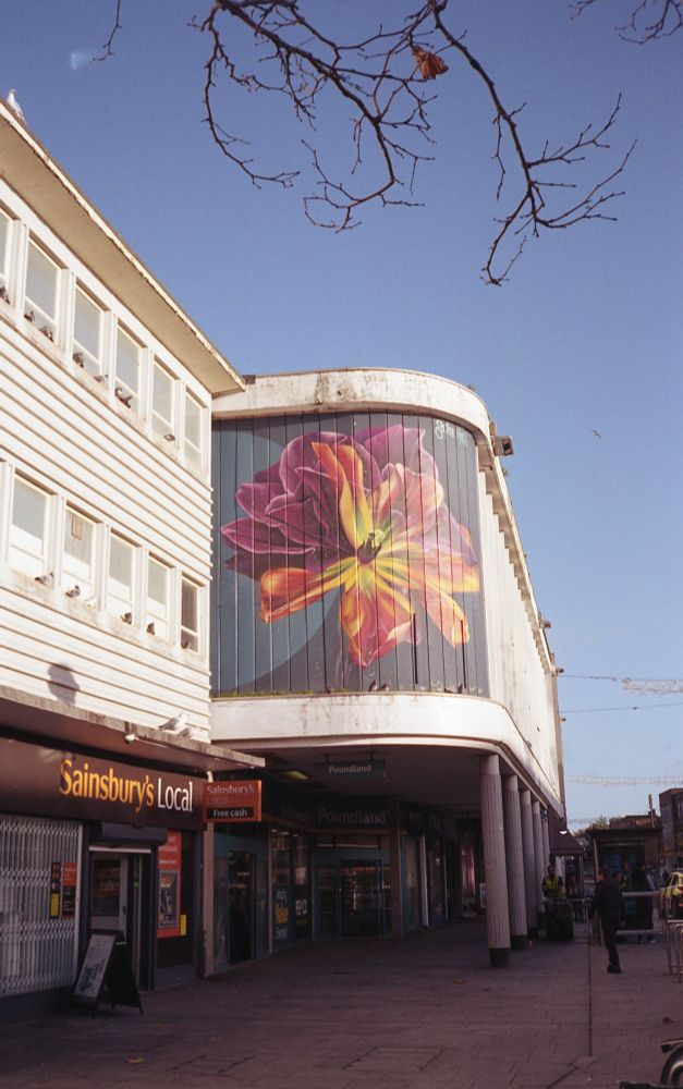 A colour photo of a mural by Sophie Moss of a flower on Sidwell Street, Exeter.