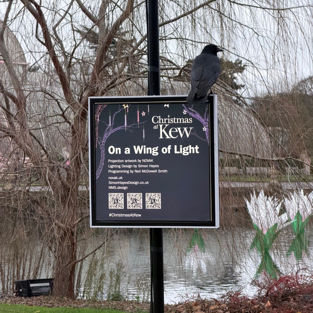 A corvid is standing on a sign.