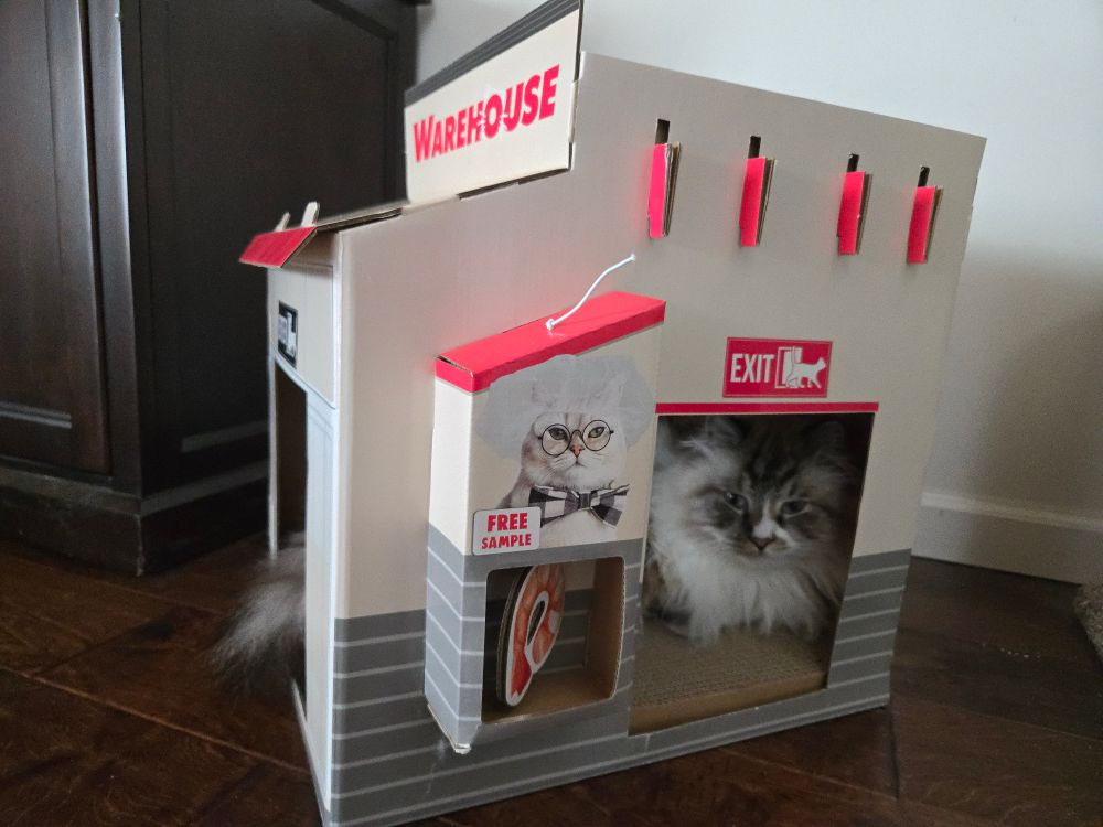 a lynx point siberian cat, Ditto, inside of a cat scratcher that is designed to look like a Costco