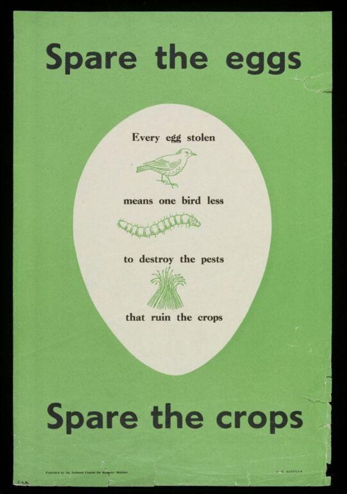 Black text on white egg-shaped backgound: Every egg stolen means one bird less to destroy the pests that ruin our crops.