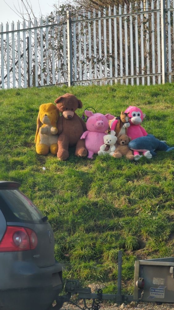 Stuffed cuddly toys on a hill