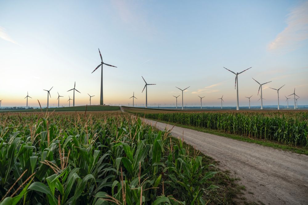 Windräder auf einem grünen Feld bei Dämmerung. Am Horizont weitere Windkraft-Anlagen