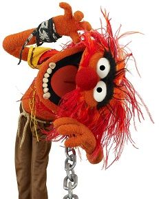 The muppet named "Animal", looking unruly and probably being loud.