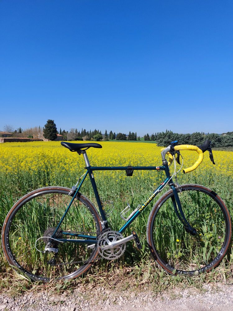 Velo vert avec guidoline jaune devant du colza