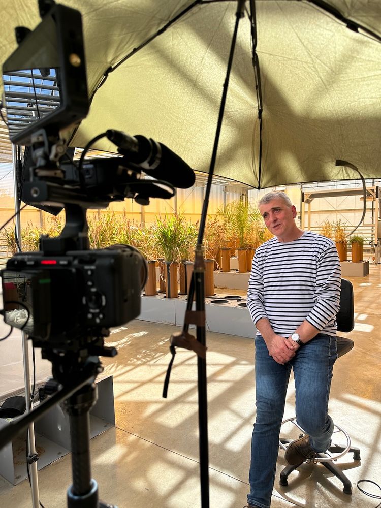 Malcolm Bennet in the greenhouse while filming