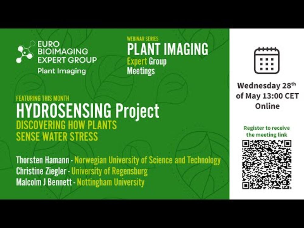 Plant Imaging Expert Group: Discovering how plants sense water stress
