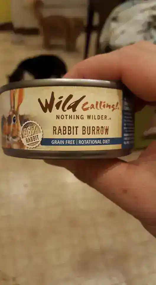 Memory from 10 years ago