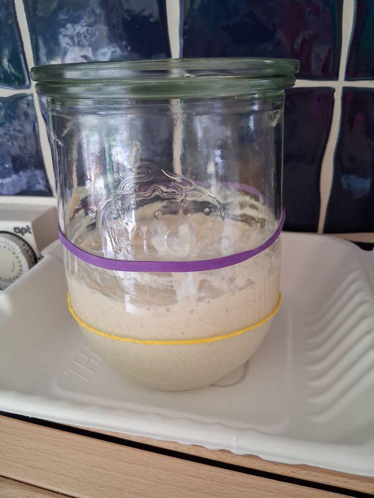 A 1 liter Weck jar with two rubber bands on it to help track the rise of the sourdough starter inside.