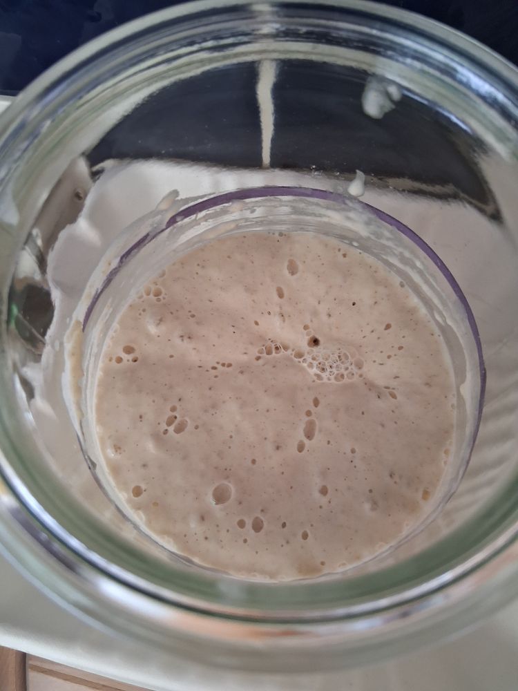 Looking down at the sourdough starter from above. It is nice and bubbly.