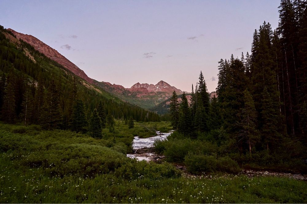 A view of mountains in a valley at sunset. A stream runs through the photo, with spruce trees on either side. A meadow with small wildflowers is in the foreground.