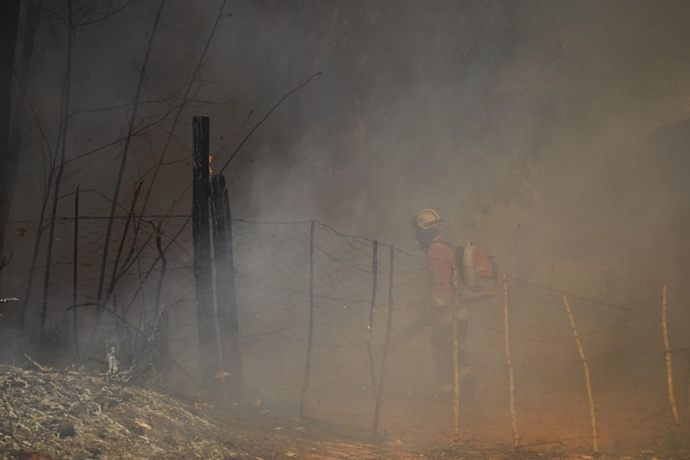 Brasilien: Waldbrände und Fortschrittspolitik gefährden das  …