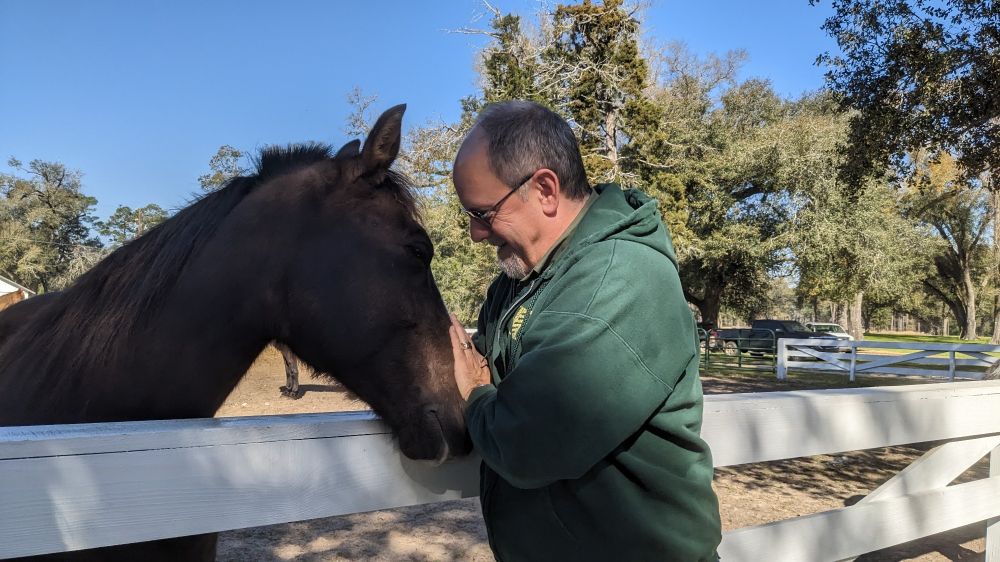 A man in a green hoodie affectionately pets a brown horse over a fence.