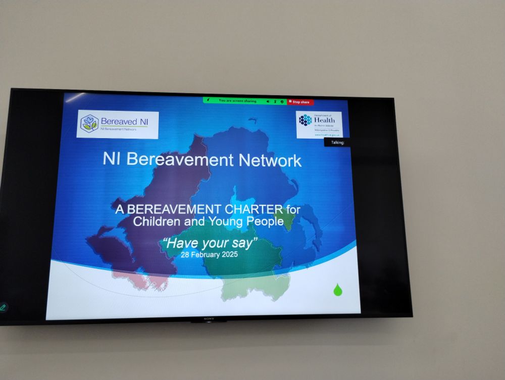 PowerPoint slide NI Bereavement Network - A Bereavement Charter for Children and Young People. have Your Say. 