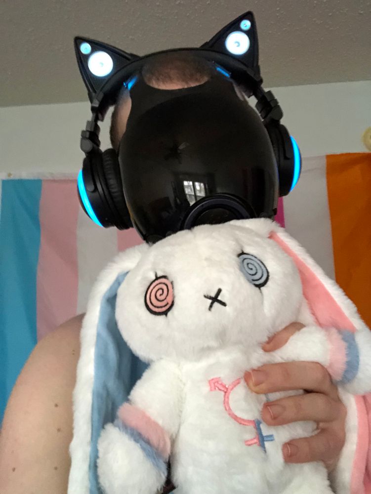 Standing in front of the same flags in the same outfit as in the photo from the post that this one is a reply to, in this photo I’m holding a bunny plushie in my left paw. The plushie is covered in trans pride colors and a trans symbol.