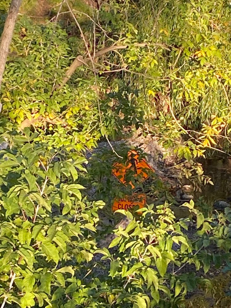 An orange construction sign that says sidewalk closed at the bottom of a ditch. The sign is surrounded by tree leaves and difficult to read