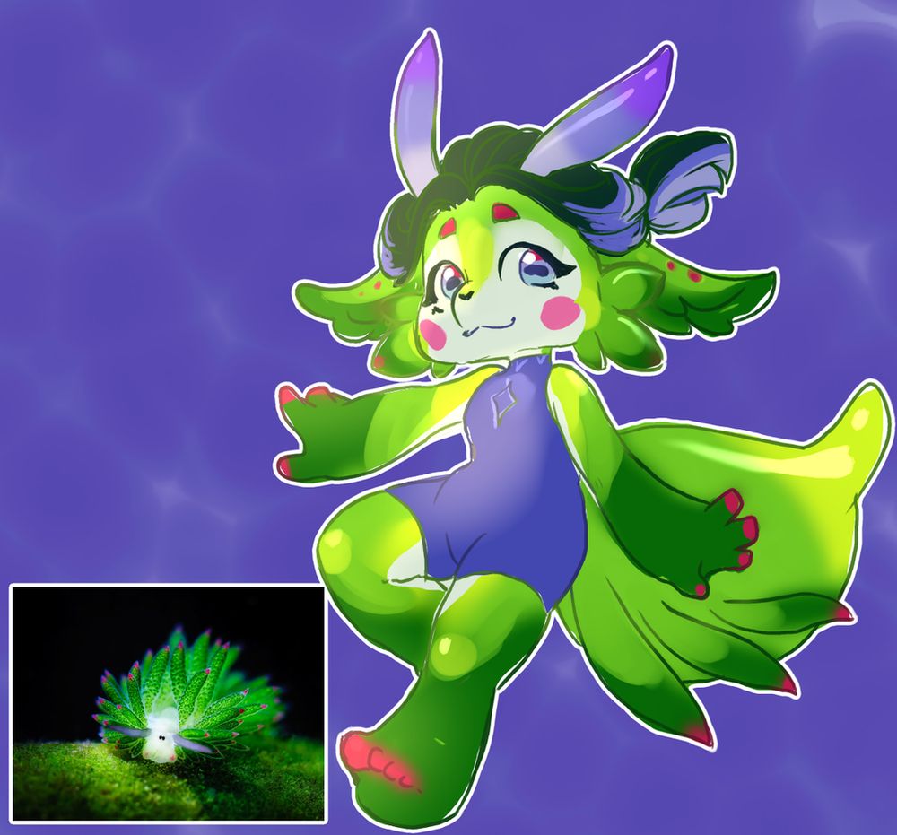 Costasiella kuroshimae—also known as a "leaf slug", or "leaf sheep"—is a species of sacoglossan sea slug. Costasiella kuroshimae are shell-less marine opisthobranch gastropod mollusks in the family Costasiellidae. Despite being animals, they indirectly perform photosynthesis, via kleptoplasty.