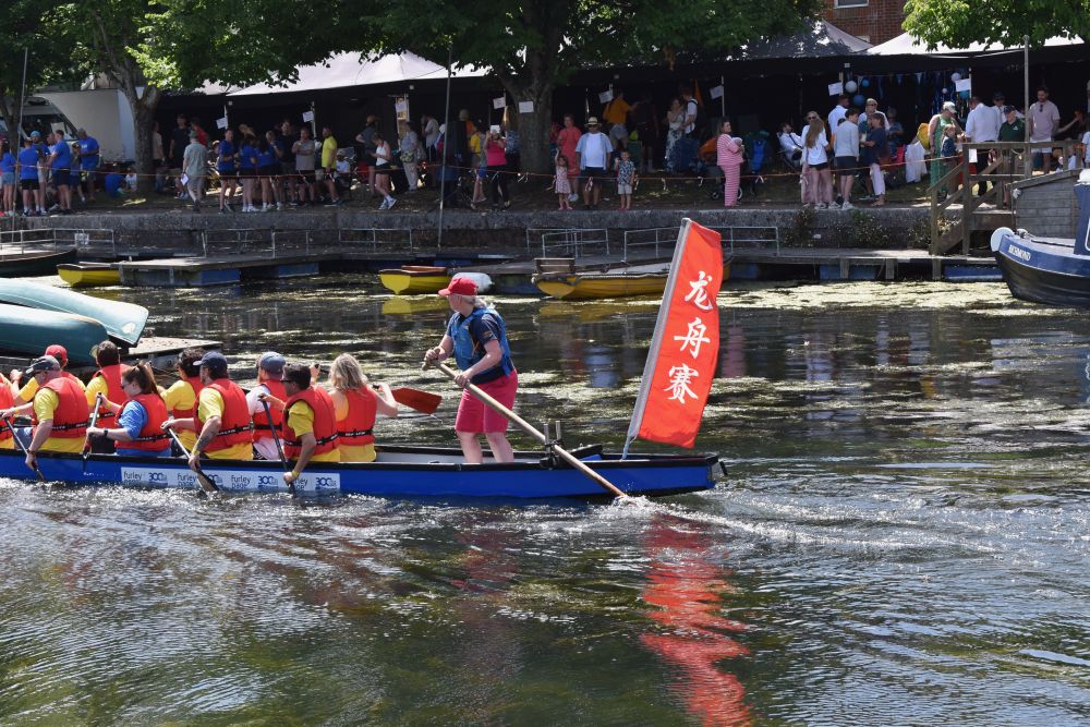 A dragon boat steerswoman and steering oar. The oar has a handle like that of an old-fashioned shovel. It is held in place between two metal uprights by rope or rubber strops. 
