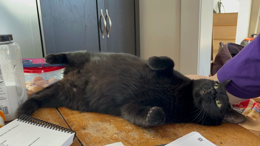 A black cat, laying belly up, on top of a wooden table. 