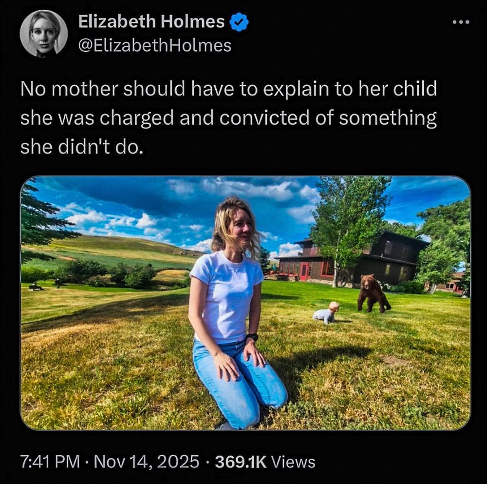 Tweet from Elizabeth Holmes says "No mother should have to explain to her child she was charged and convicted of something she didn't do."
She posted a photo of herself in a field looking innocently into the distance. Her toddler is on the grass well behind her looking in the other direction. I've added a photo of a charging bear. 