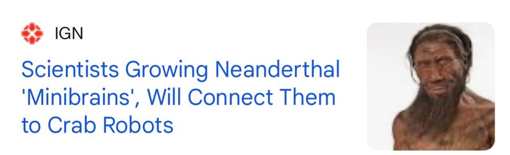 Photo of a sketch of a Neanderthal. The headline reads:
Scientists Growing Neanderthal
'Minibrains', Will Connect Them to Crab Robots
